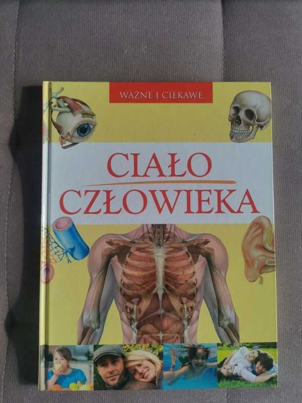 Ciało człowieka. Ważne i ciekawe