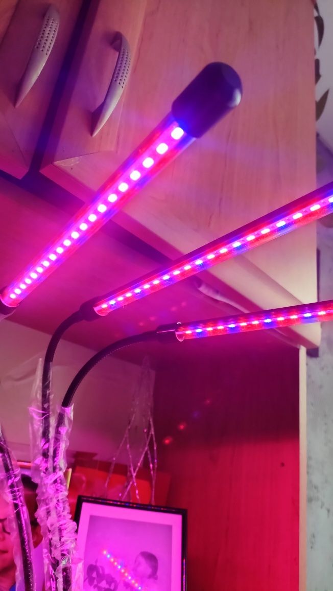 Lampa led akwarystyczna