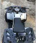 Квадроцикл Fx moto 125