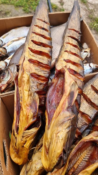 Риба, Копчена, В'ялена,Свіжоморожена опт , великі обйоми лящ,плотва,..