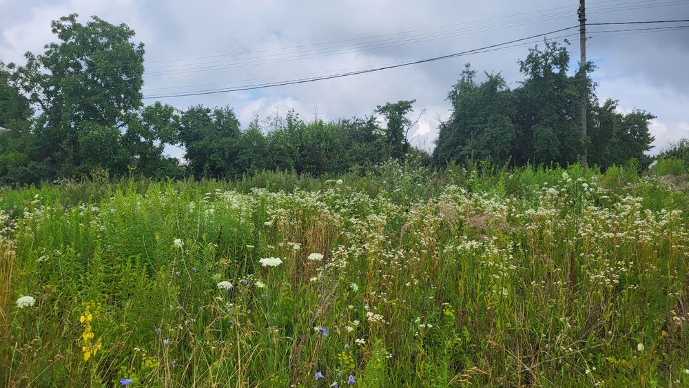 Продається ділянка на 2 заїзди