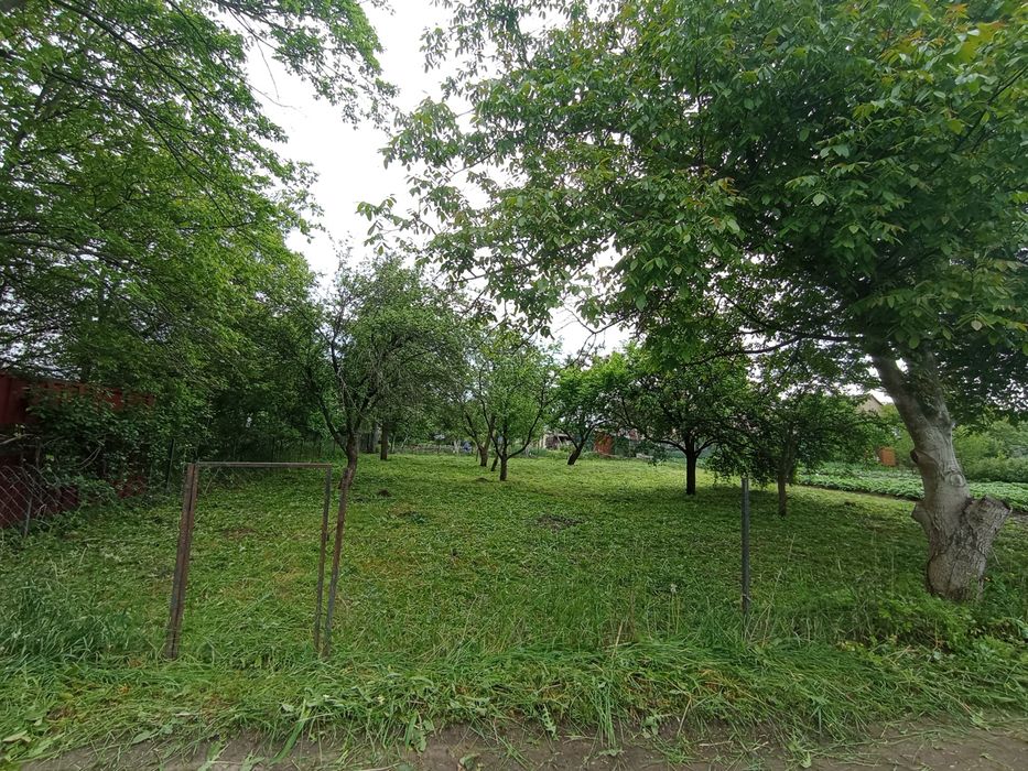 Будівництво, косіння, зрізання, розчистка, корчування дерев