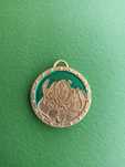 Unikatowy złoty medalion Shrek do albumu z medalami (2008,2009 rok)