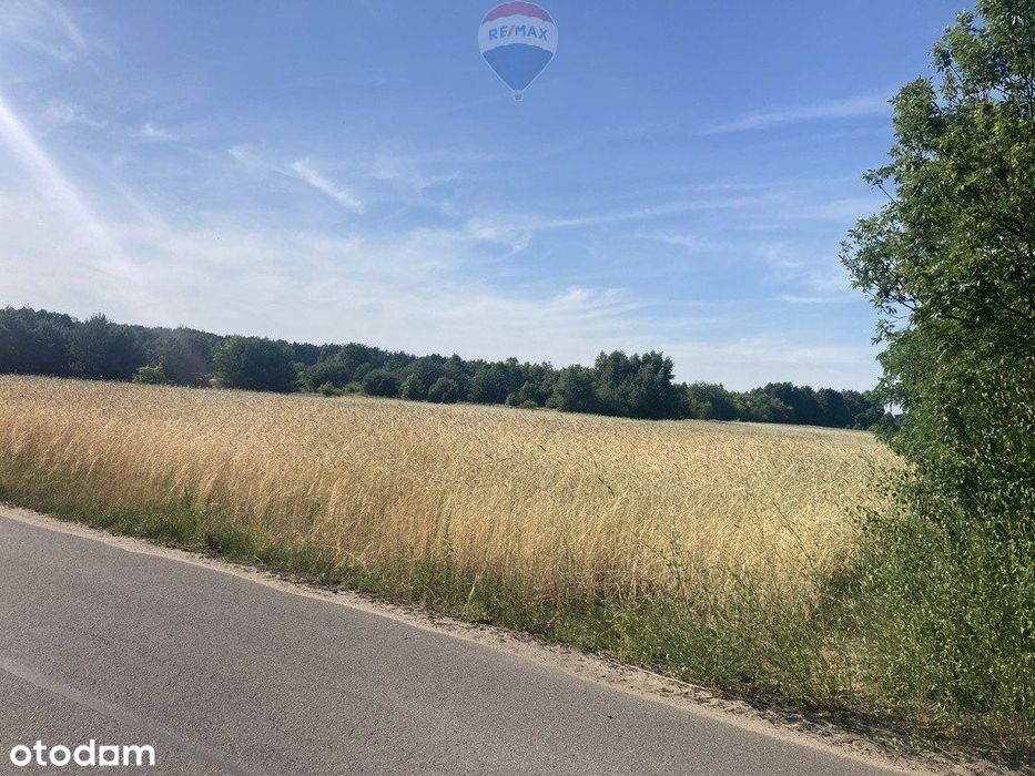 Działka budowlana 3000 m² – Ruda Radzymin