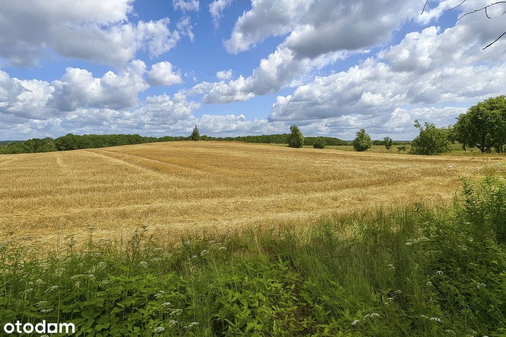 Działka 5200 mkw. z malowniczym widokiem - Udorpie tuż pod Bytowem