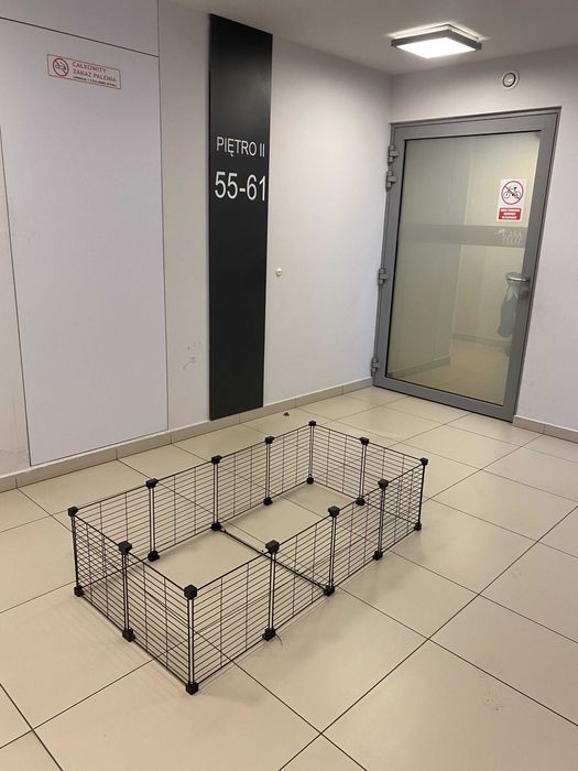 Ogromna klatka wybieg dla świnek morskich