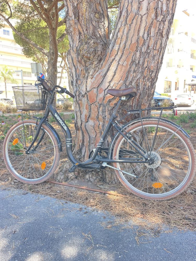 Bicicleta wayscroll