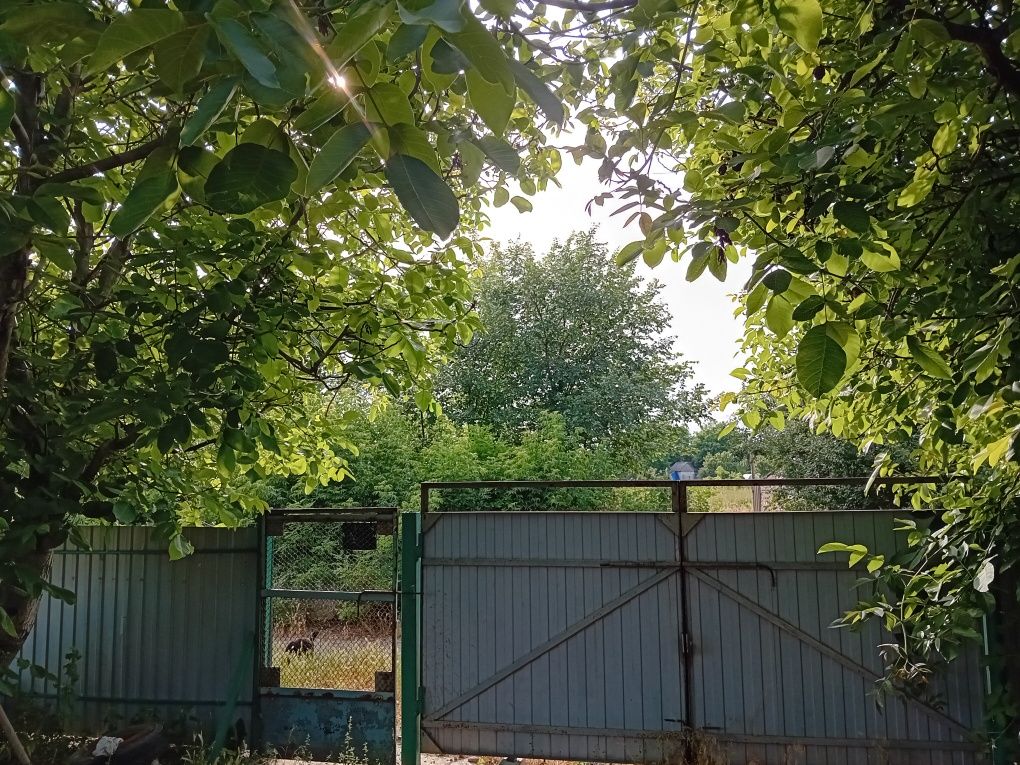 Продам будинок с. Кримка