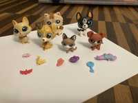 Littlest pet shop -zestaw.