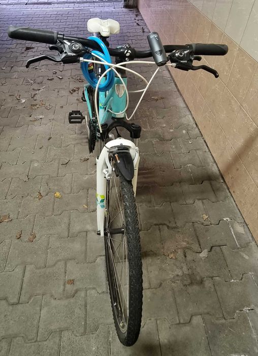 Rower Trek Domane Disc Neko 16 Seeglass