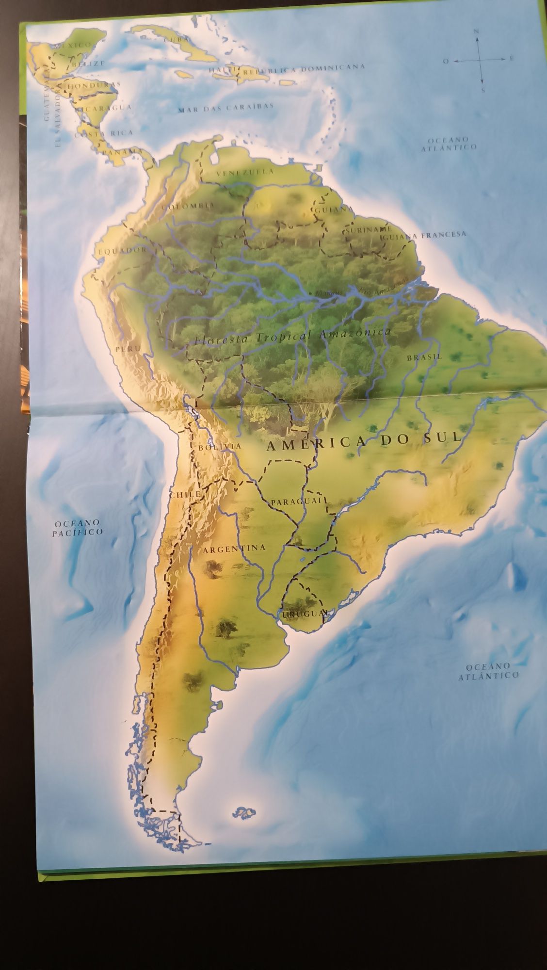A Floresta tropical. Pequeno Explorador