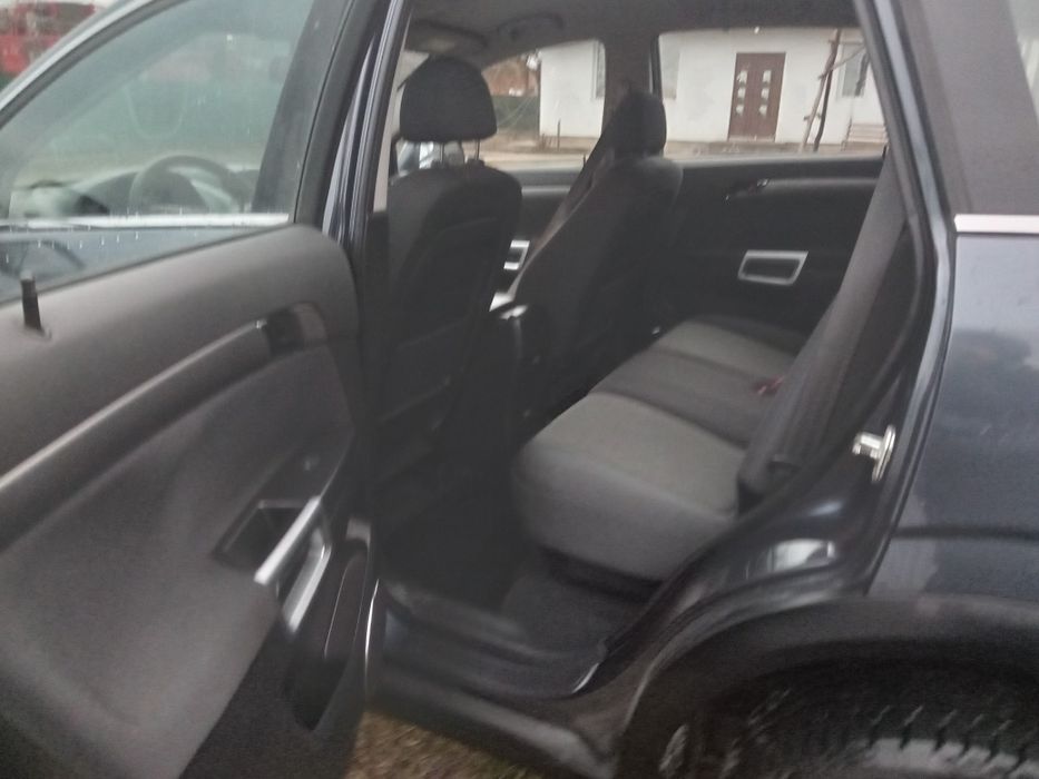 Свіжопригнана антара без підкрасів