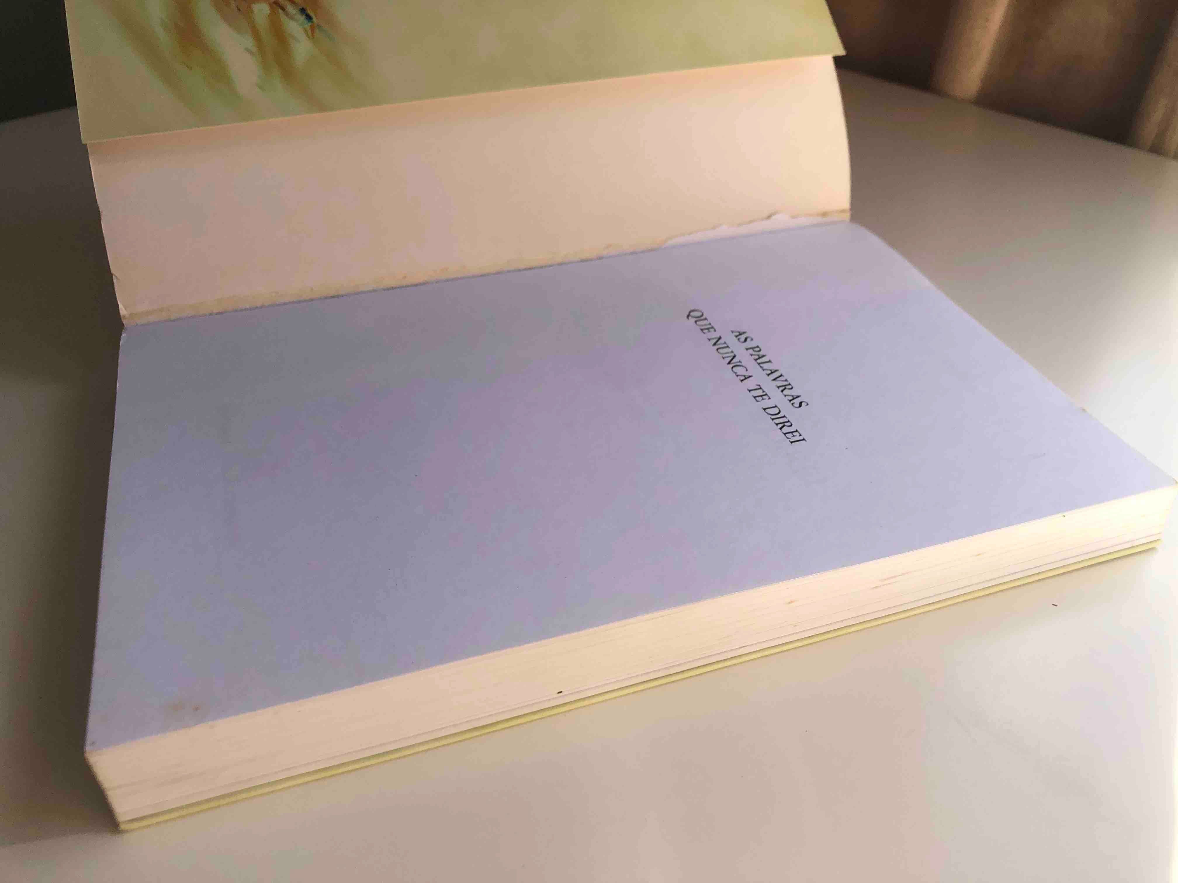 "As Palavras Que Nunca Te Direi" de Nicholas Sparks (Portes Incluídos)