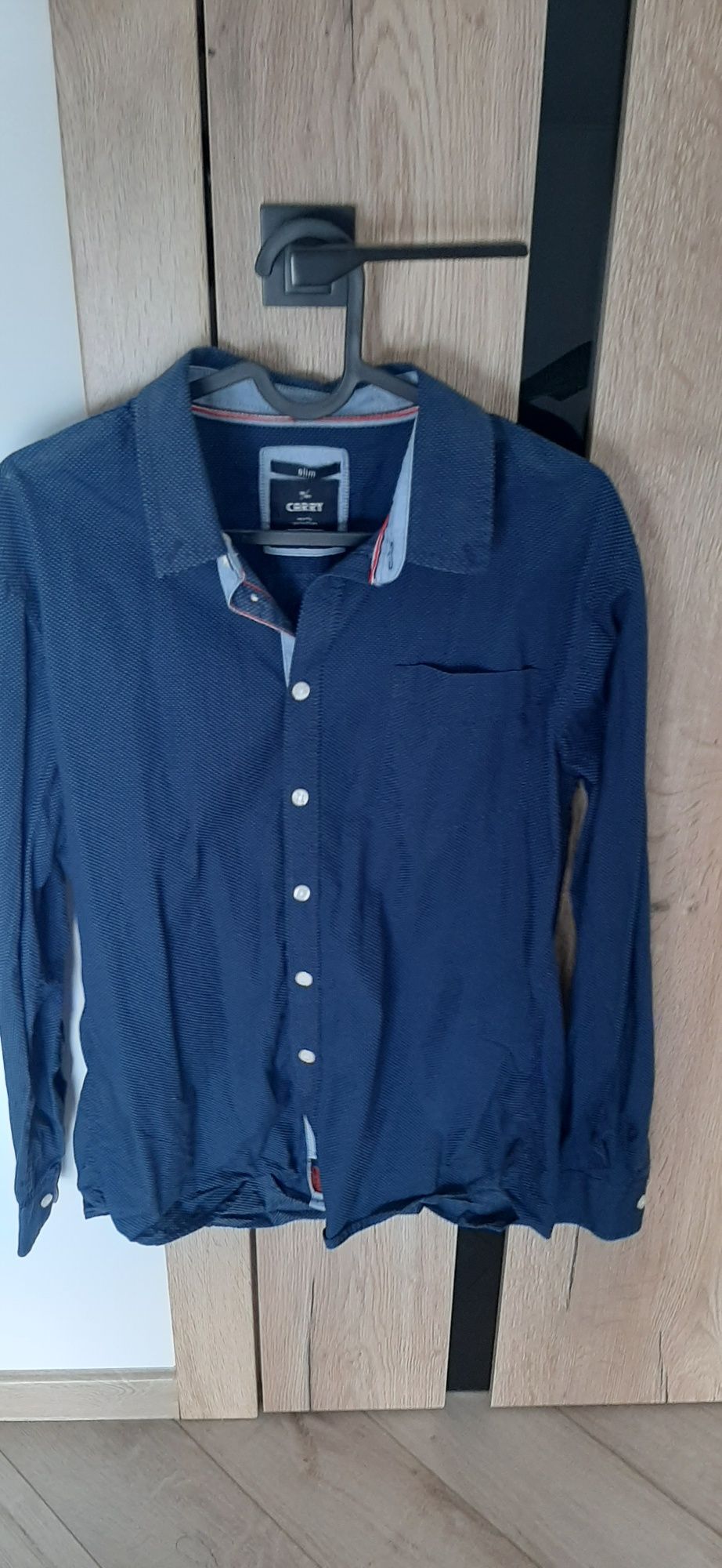 Koszulka męska slim Carry