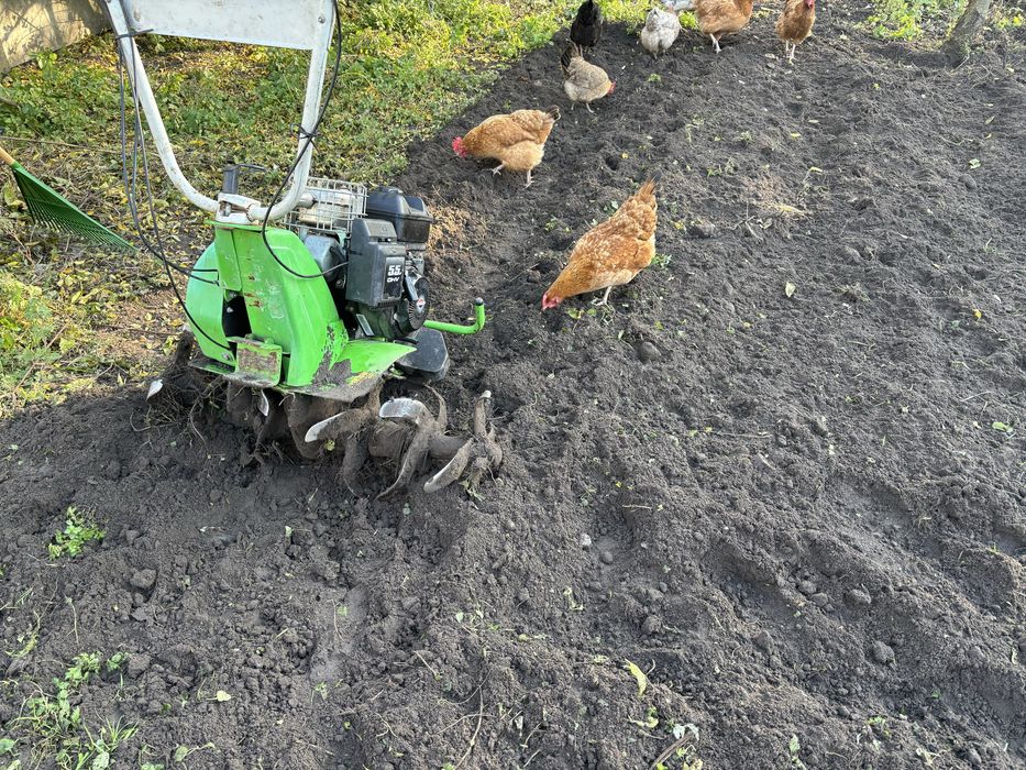 Glebogryzarka traktorek dzik viking vh660