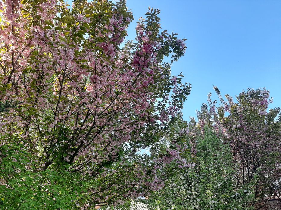 Продам участок на Гагарина, Материк