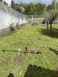 Faço manutenção a jardins e limpeza de terrenos na zona de Oliveira de