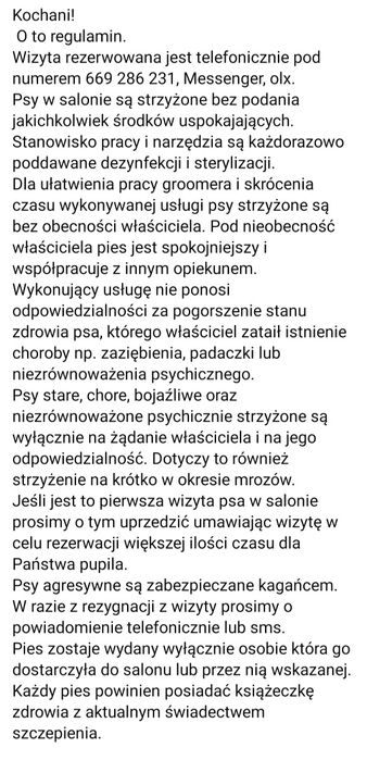 Psi fryzjer Smerfny  Pupil
