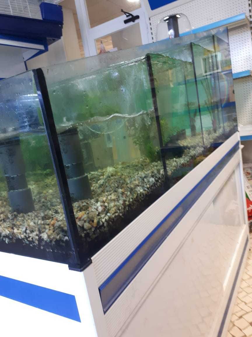 Aquário em cascata da "Aquapime" ideal para pet shops. Oportunidade !