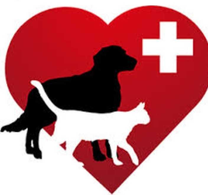 Стерилизация ,кастрация,ветклиника