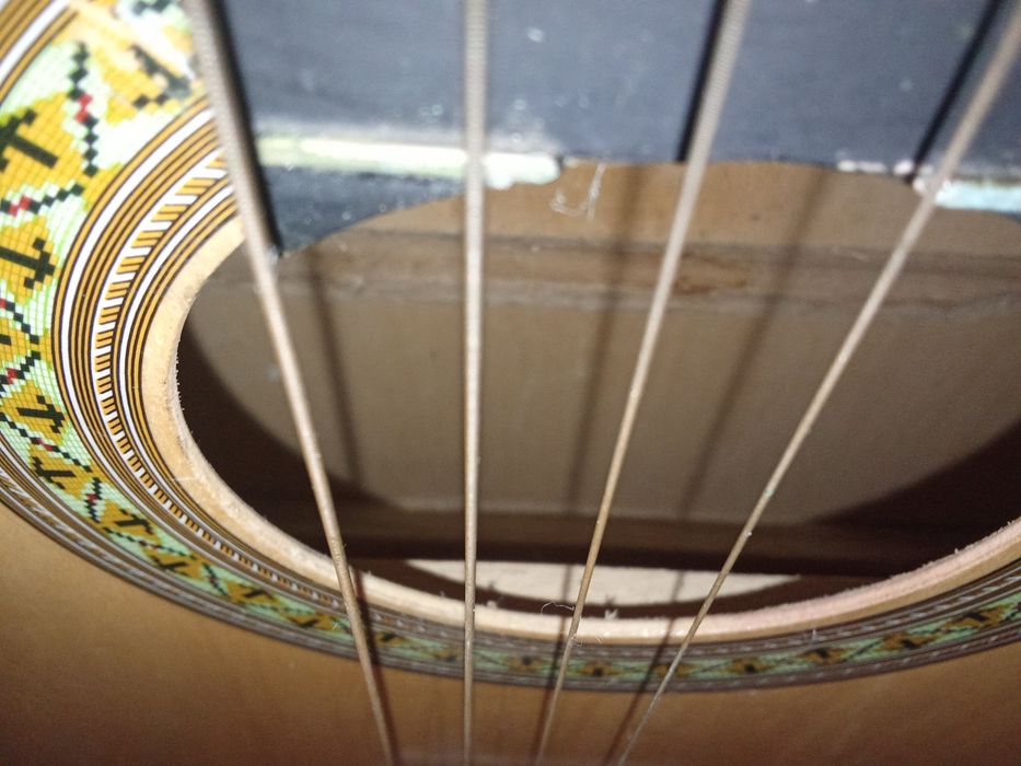 Viola seis cordas