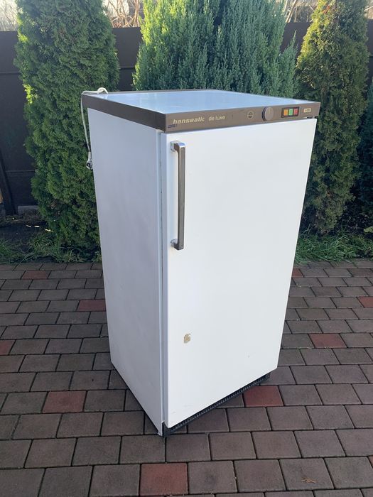 Морозильна камера в робочому стані є доставка