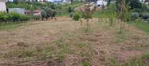 Terreno para Construção Freixo, Mortágua