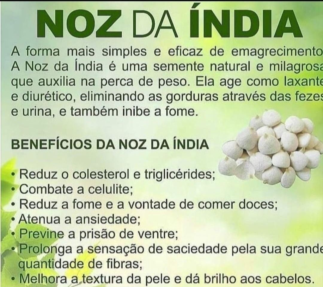 A Verdadeira Nozes da Índia Brasileira - 20 unid. 10€
