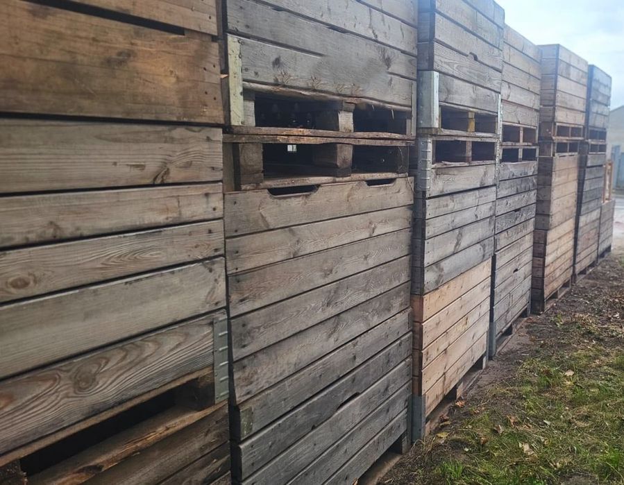 Skrzyniopalety drewniane