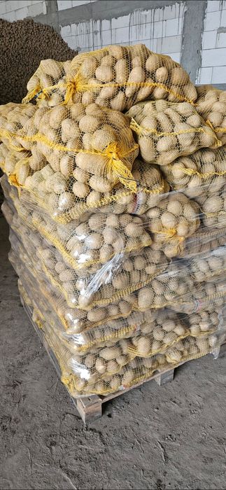 HURT Ziemniaki worek 15kg lub big bag