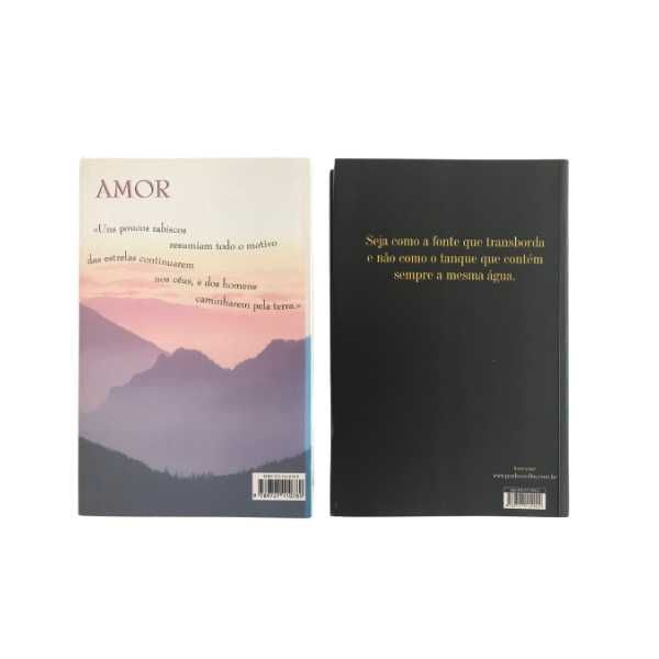 Livros Paulo Coelho Veronika decide morrer e O Monte Cinco