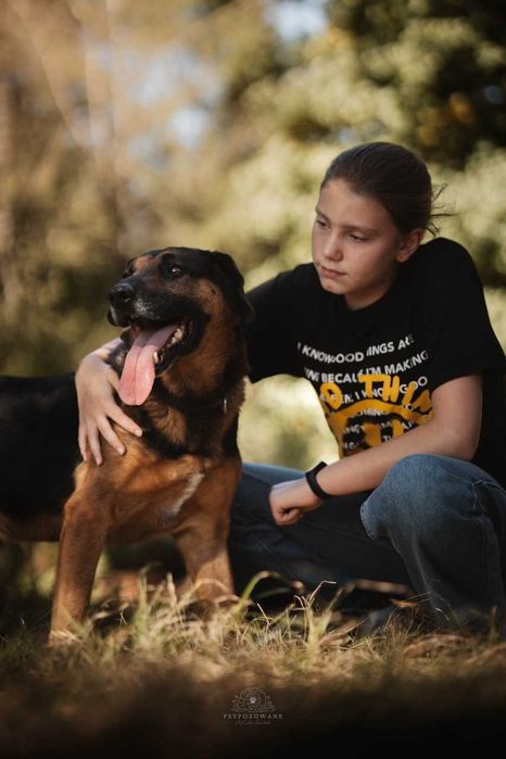 Szefuńcio - pies o myśliwskim sercu ADOPCJA