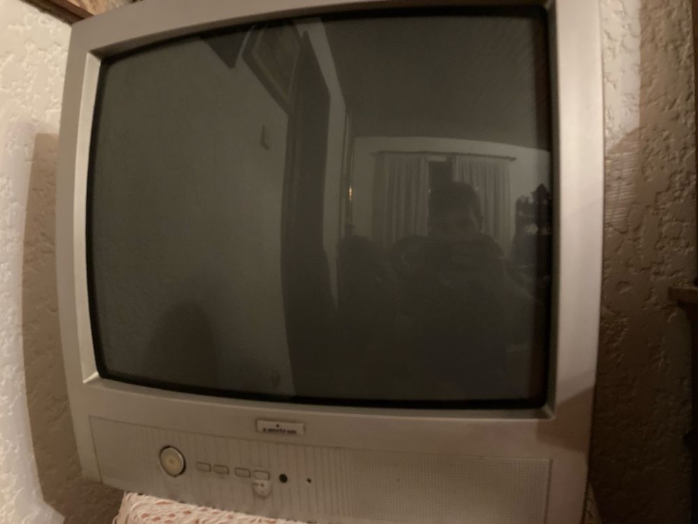 Televisão Sanitron 55 cm