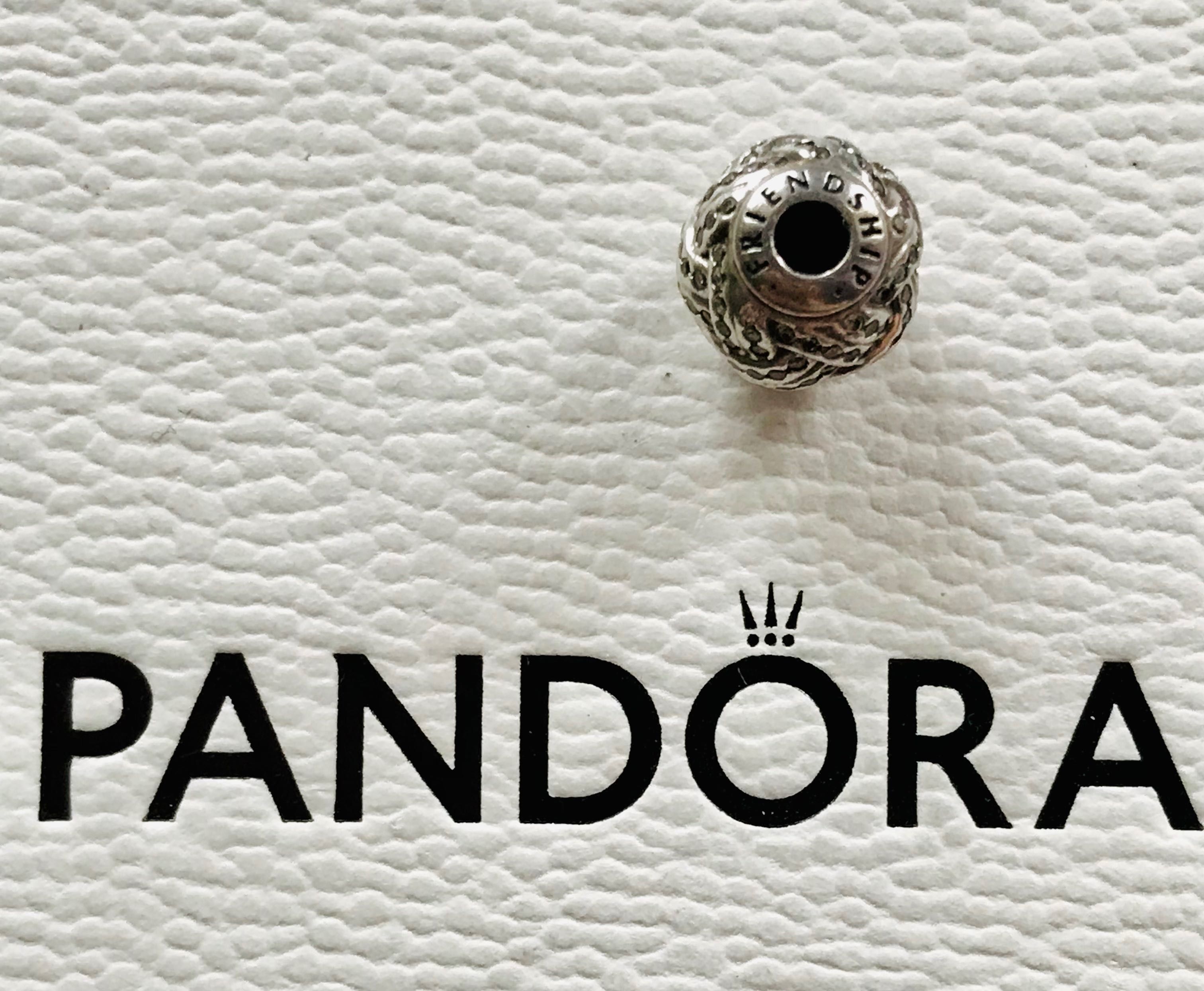 Pandora Charms Essence Friendship 796086CZ Przyjaźń