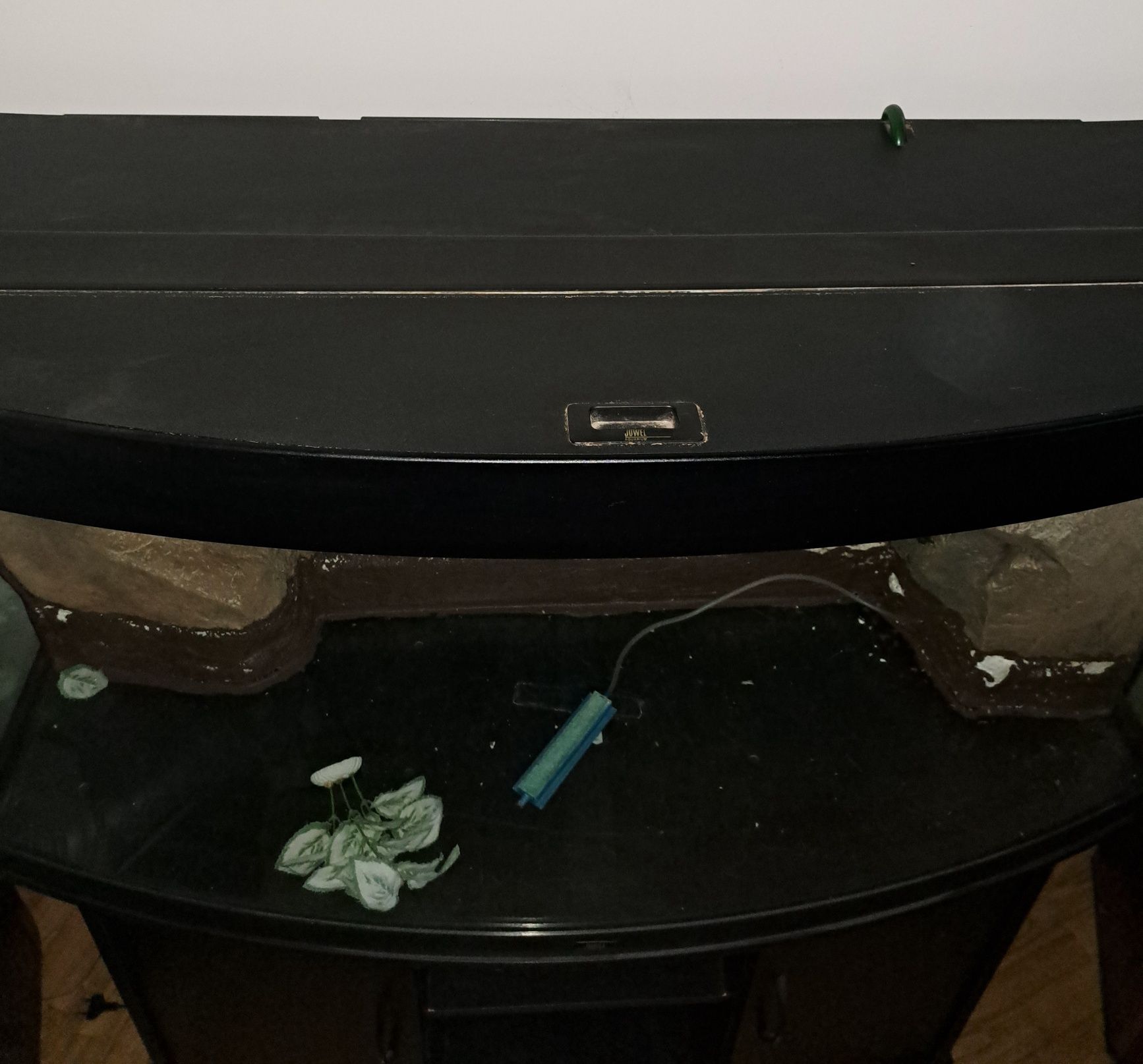 Panoramiczne akwarium Juwel 250L – dom dla Twojej podwodnej mafii!