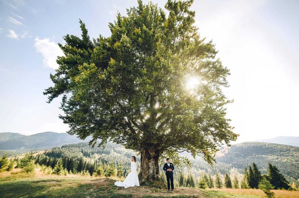 Професійний фотограф Тернопіль (весільний фотограф, фотосесії)