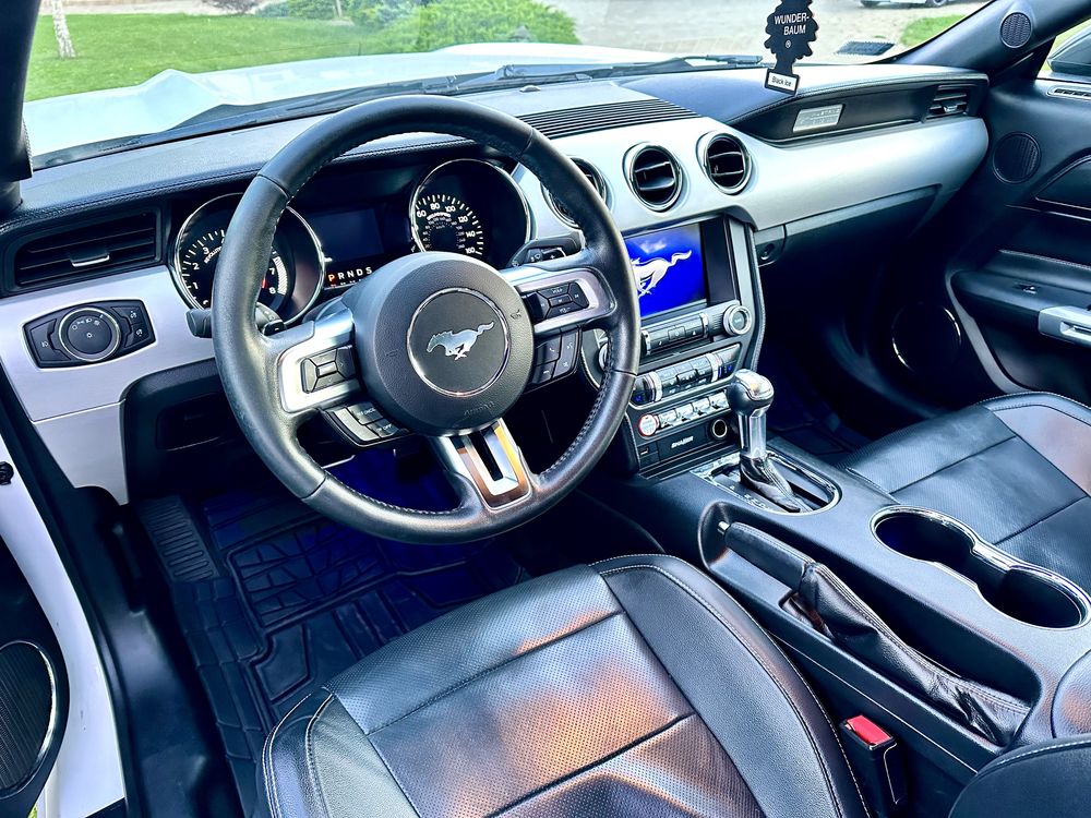 Wypozyczalnia aut Promocja wynajem Mustang Coupe okazja slub wesele