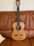 Guitarra Clássica Paco Castillo Mod.240