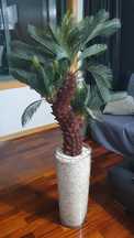 Vendo Planta de Plastico