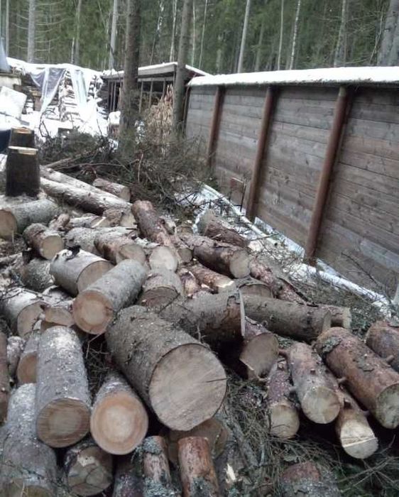 Зрізання дерев, Розчистка ділянок, Демонтаж, корчування, Спил, обрізка