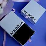 Паковання упаковка пандора pandora коробка скринька пакет