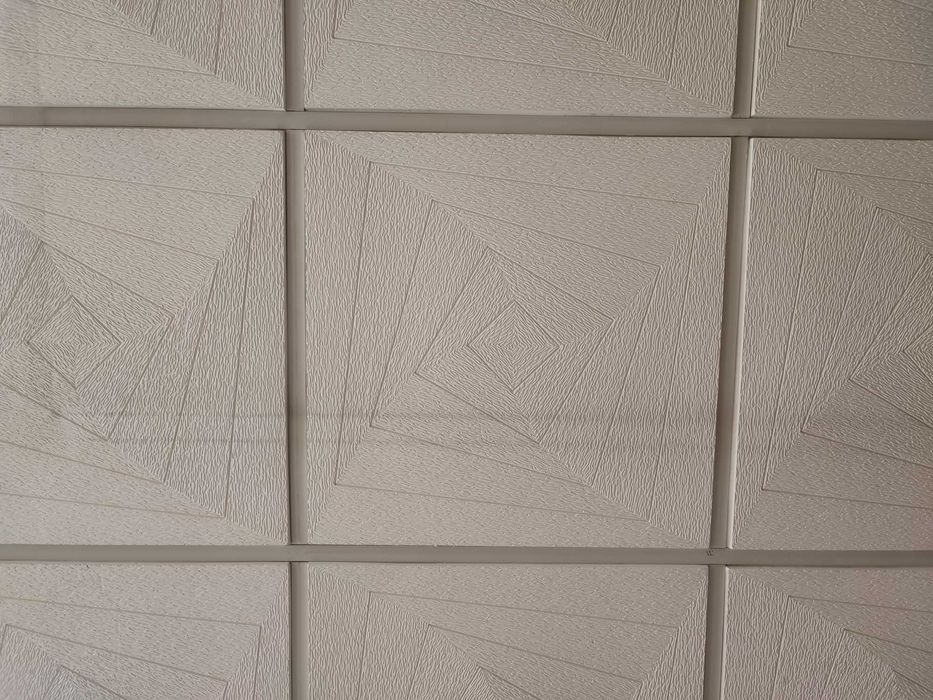 Teto falso Placas Gesso - oferece-se a quem remover - cerca de 70m2