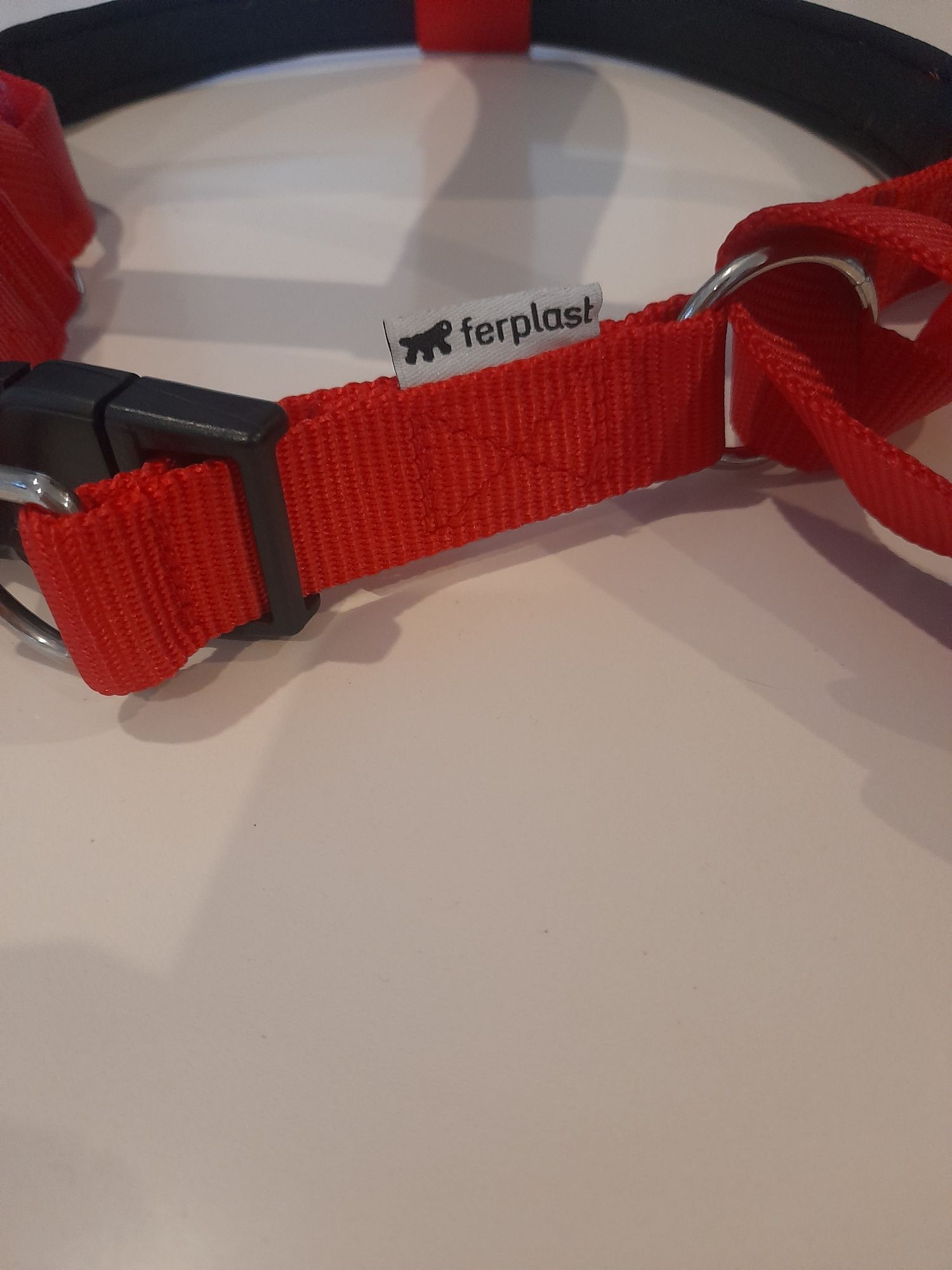 Peitoral vermelho Cão