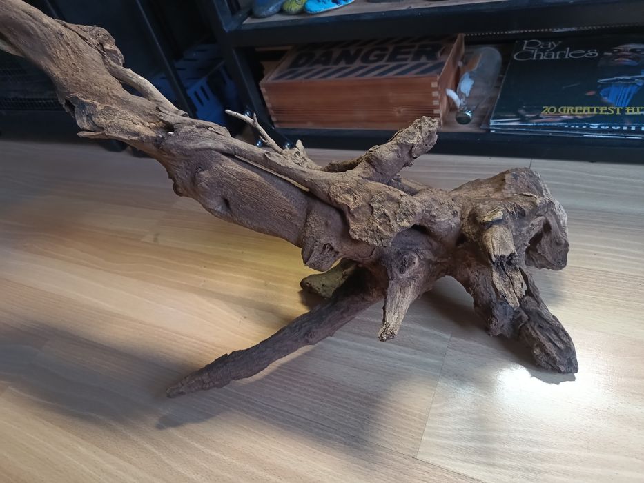 Duży korzeń do akwarium lub terrarium