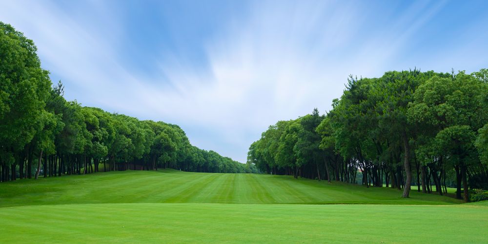 Trawa Regeneracyjna Sportowa Emeralld 10Kg Znaczny I Natychmiastowy