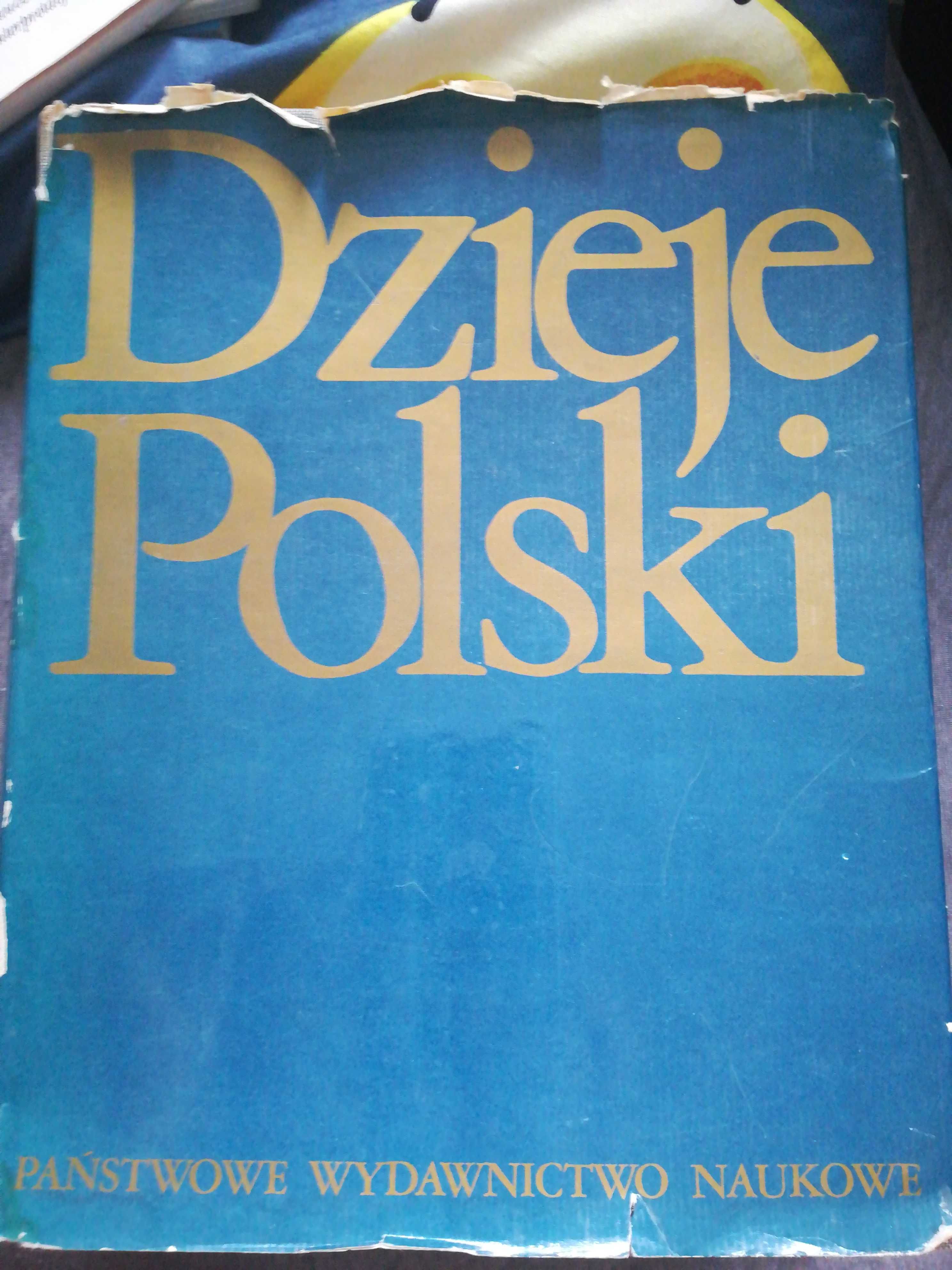 Dzieje Polski Książka