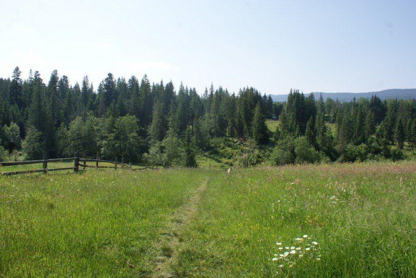 Земельна ділянка в Карпатах поруч з курортом Буковель.