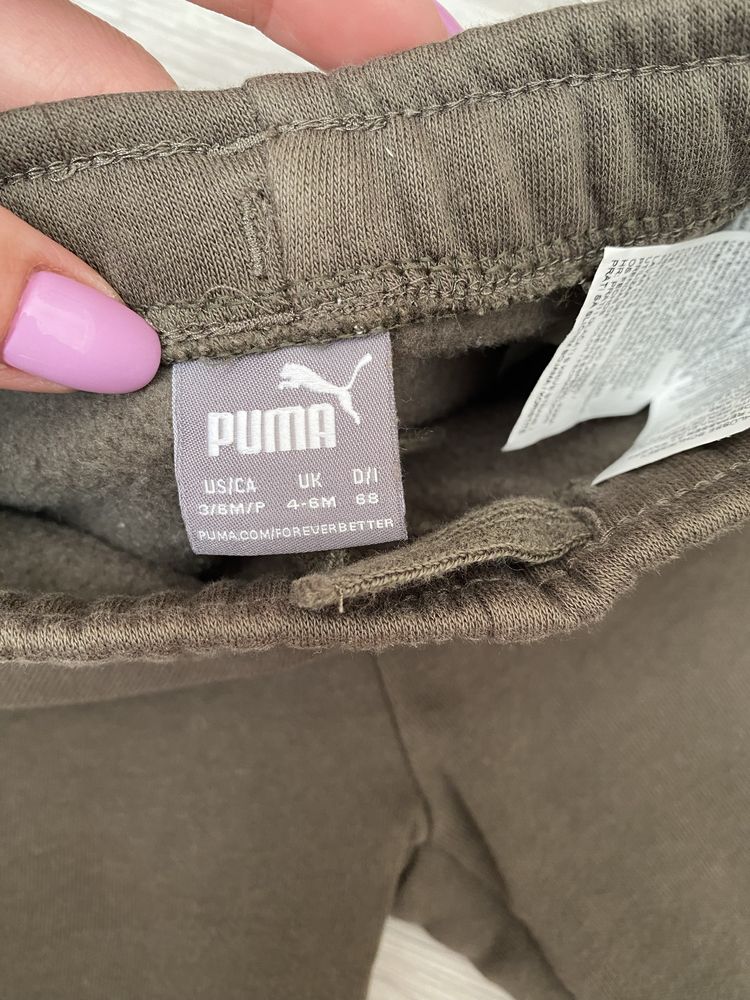 Штаны puma,свитер, костюм