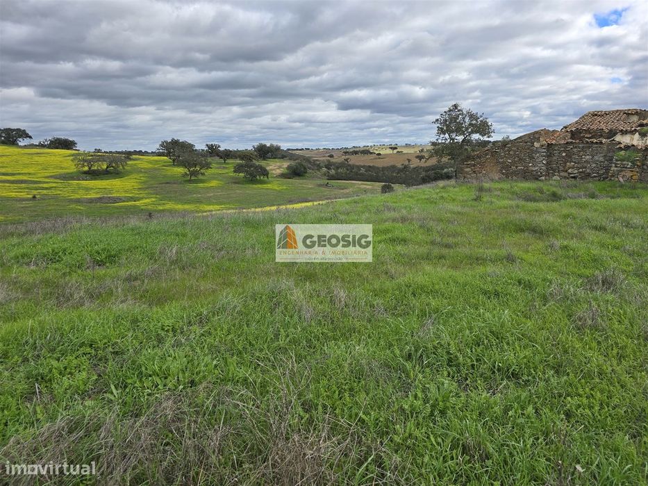 Terreno Rústico  Venda em Castro Verde e Casével,Castro Verde
