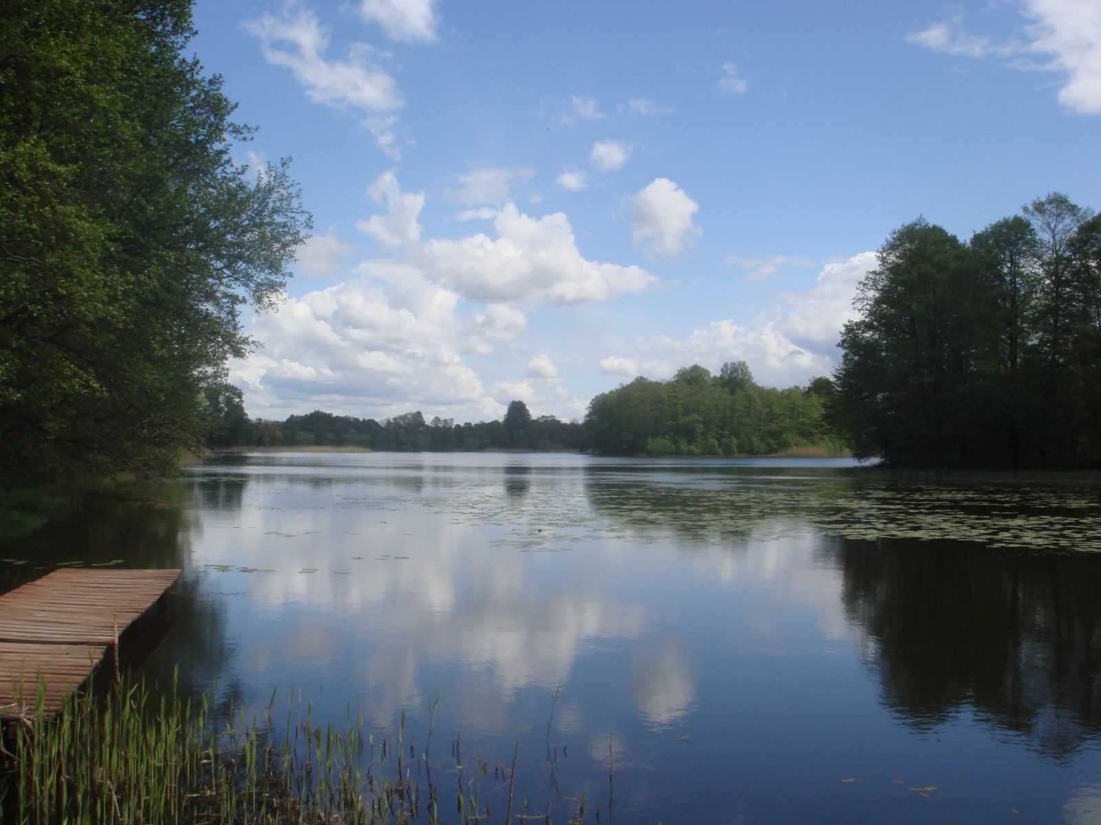Działka z linią brzegową jez. Karw na Mazurach (Mrągowo)